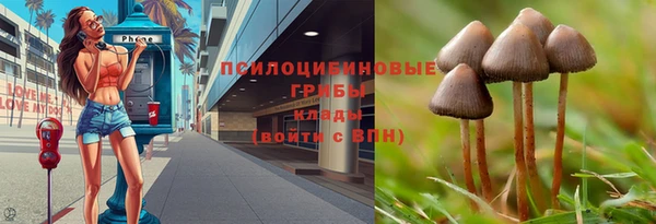 дурь Магас
