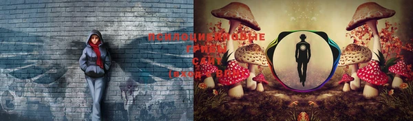 дурь Магас