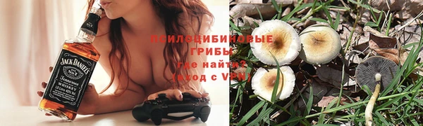 амф Медвежьегорск