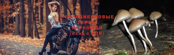 COCAINE Бердск