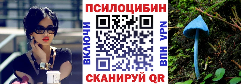 где найти наркотики  Николаевск  Псилоцибиновые грибы мухоморы 